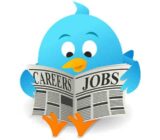 Twitter para la búsqueda de empleo y el desarrollo profesional